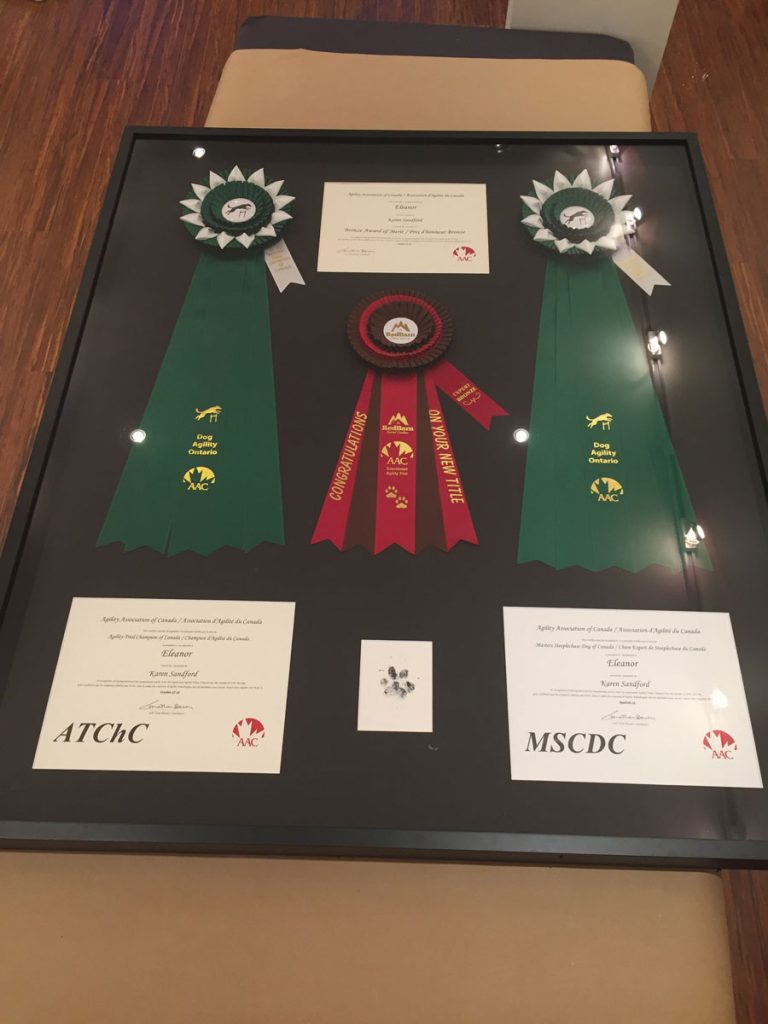 custom shadow box frame with medals